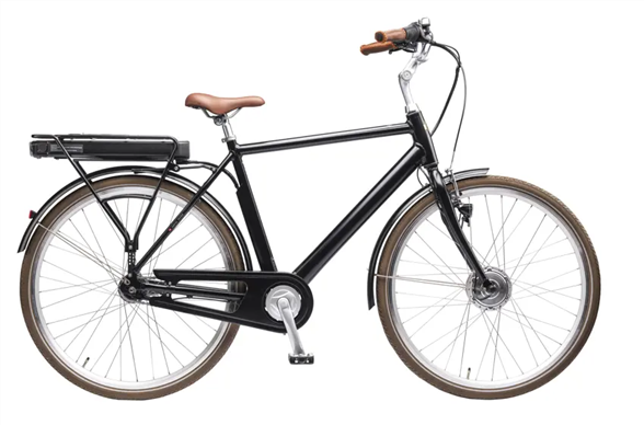 Mustang Christian Electric 28